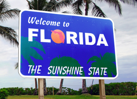 Florida SEO Company - More Than Search Engine Marketing